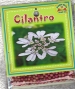 cilantro-front-medium