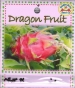 dragon-fruit-front-medium