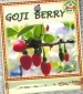 goji-berry-front-medium