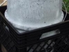 covered-feeder-over-catfish
