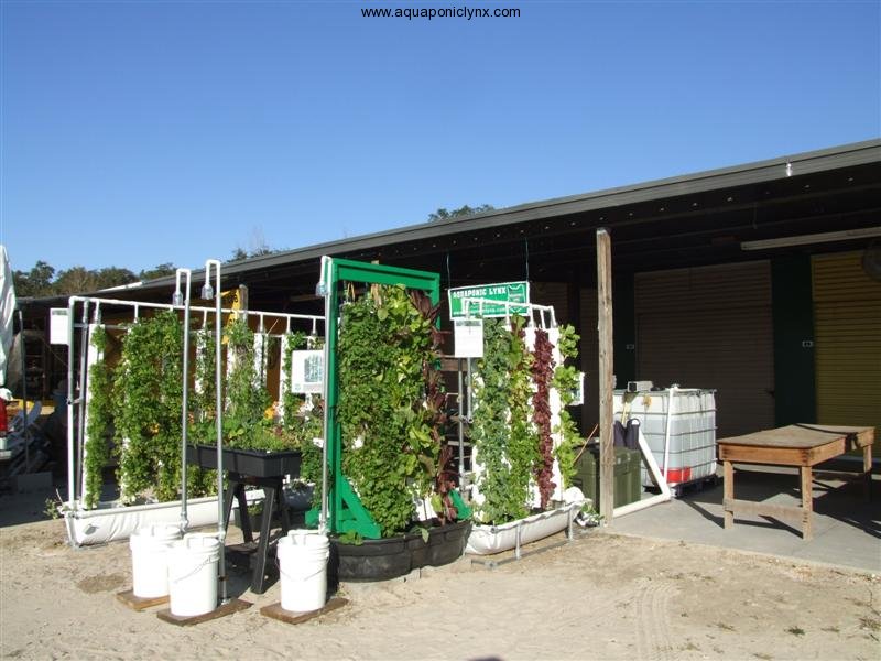 IBC Aquaponics