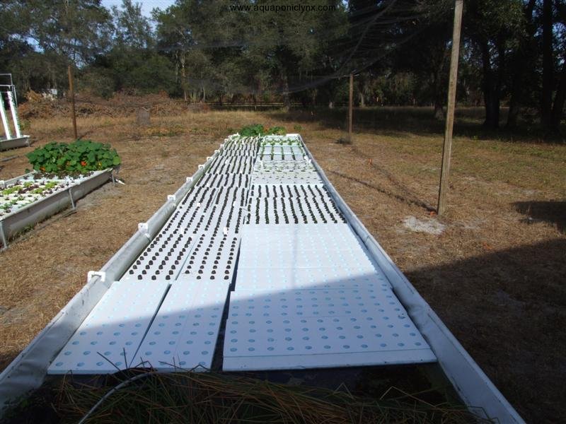 Floating Raft Hydroponic Systems