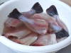 Cleaned tilapia for the table or freezer (Medium)