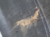 Termites ate into liner (Medium)