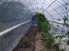 inside tunnel (Medium)