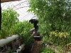 lots of green(Medium)