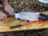 pealing fish (Medium)