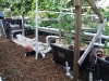 The sump is the hole in the ground under the shade cloth (Medium)