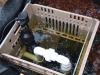 Sump in pit (Medium)