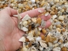 gravel n shell mix (Medium)