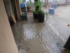 heavy rain (Medium)