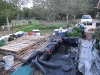 pond full with pallets (Medium)