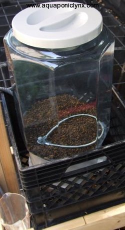 Aquaponics Fish Feeder