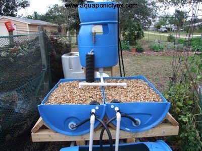 DIY Aquaponics System