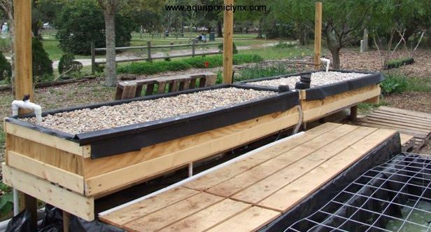 of aquaponics an system benefits