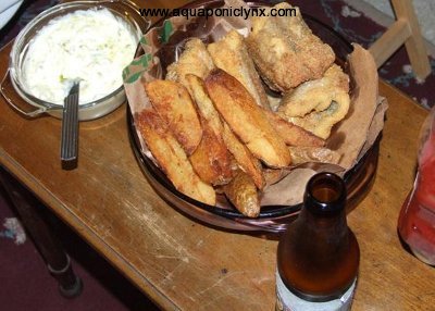 fried catfish and chips