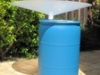 Rainsaucerbluebarrel