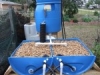 aquaponics-system-150x150