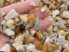 gravel-shell-mix-300x195