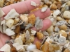 gravel-shell-mix-400x260
