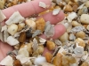 gravel-shell-mix