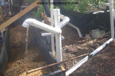 Aquaponics Grow Beds