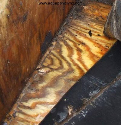 Lumber and Liner termite damage « Aquaponic Lynx LLC