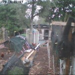 duckcamstill Link to Duck TV