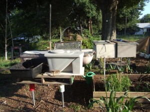 bins on new stands