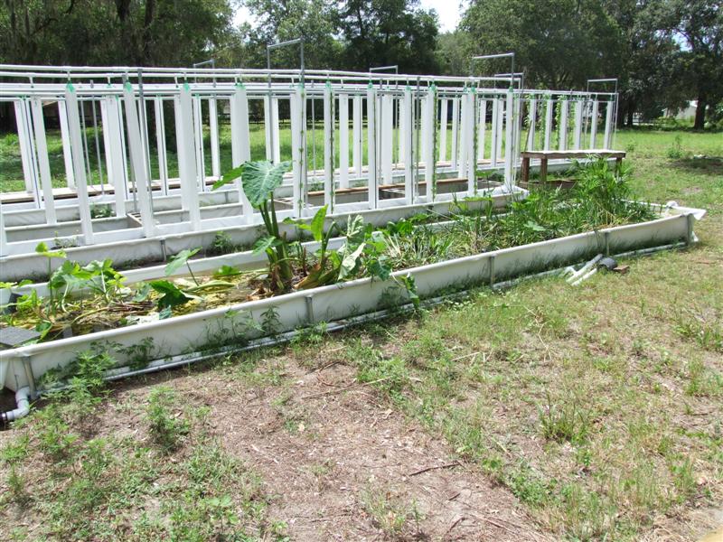 Aquaponic  Rail and tower troughs