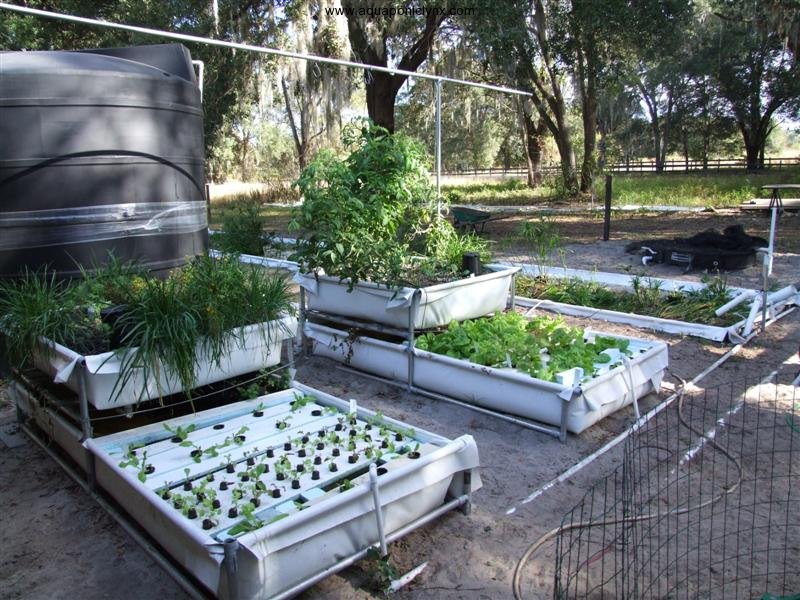 Rail bed rig aquaponic system componenets