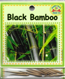 Black Bamboo