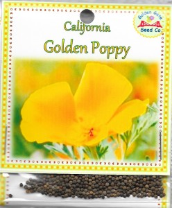 California Golden Poppy