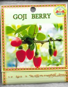 Goji Berry