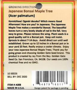 Japanese Bonsai Maple Tree