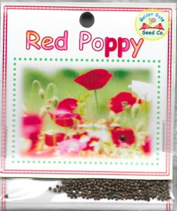 Red Poppy