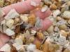gravel-shell-mix-150x97