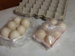 Duck Eggs