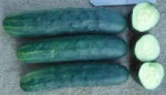 marketmore cucumbers