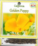 California Golden Poppy