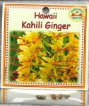 Hawaii Kahili Ginger