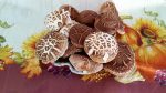 Shiitake Mushrooms